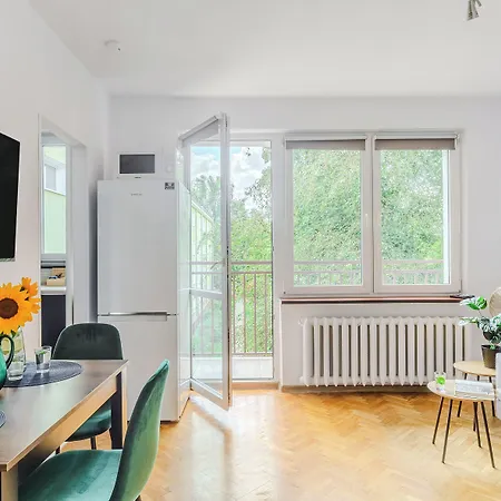 Shortstaypoland Jana Krysta B166