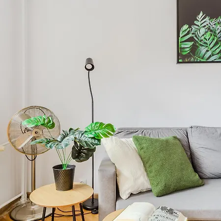 Shortstaypoland Jana Krysta B166 *