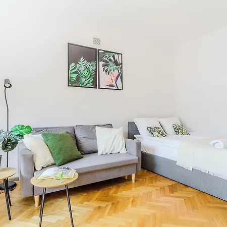 Shortstaypoland Jana Krysta B166 *